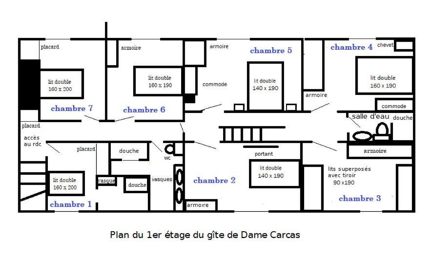 Domaine D'Herminis - Gite De Dame Carcas Carcassonne Zewnętrze zdjęcie